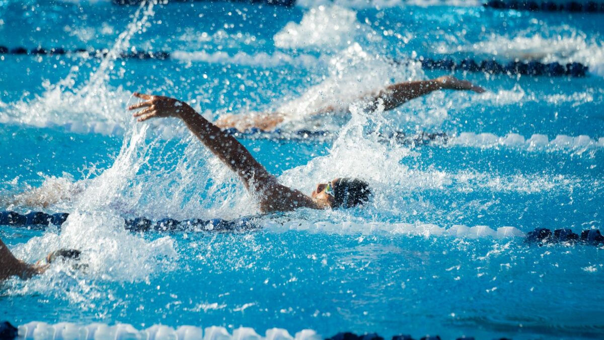 Action shot of swimmers competing in a pool race, displaying athletic skill.